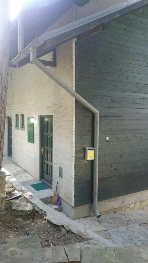 Villa Zeleni Raj à Vrnjačka Banja Extérieur photo