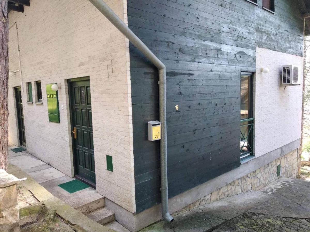 Villa Zeleni Raj à Vrnjačka Banja Extérieur photo