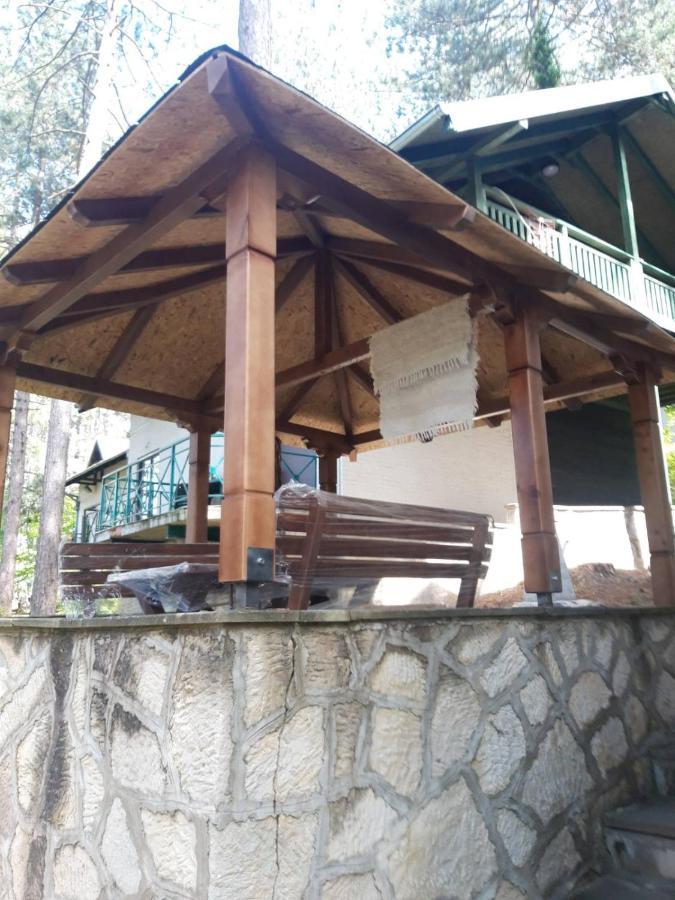 Villa Zeleni Raj à Vrnjačka Banja Extérieur photo
